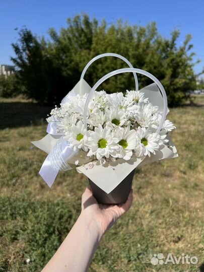 Хризантема ромашки цветы букеты доставка