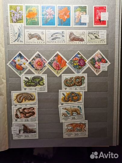 Почтовые марки флора и фауна