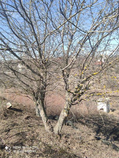 Дача 20 м² на участке 7 сот.