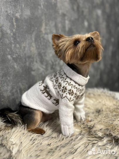 Одежда для собак кофта вязаная