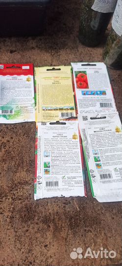 Рассада помидор огурцов