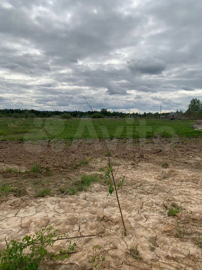 Участок 15 сот. (ИЖС)