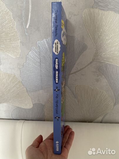 Найди и покажи. На природе