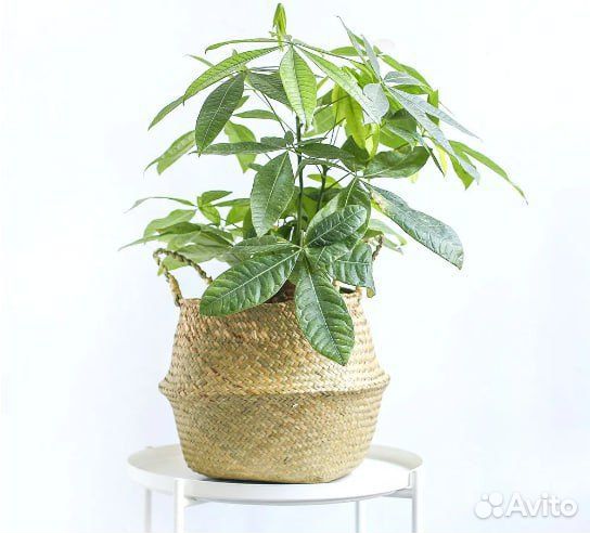 Корзинки интерьерные плетеные ручной работы