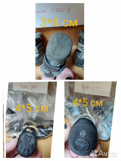 Много Обувь для собак