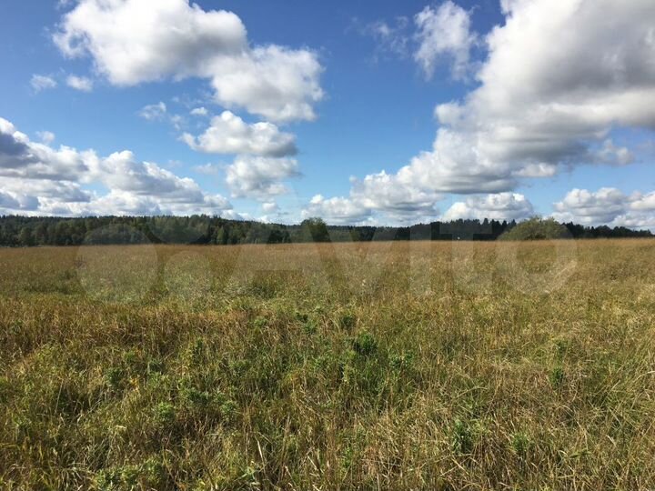 Участок 2,6 га (СНТ, ДНП)