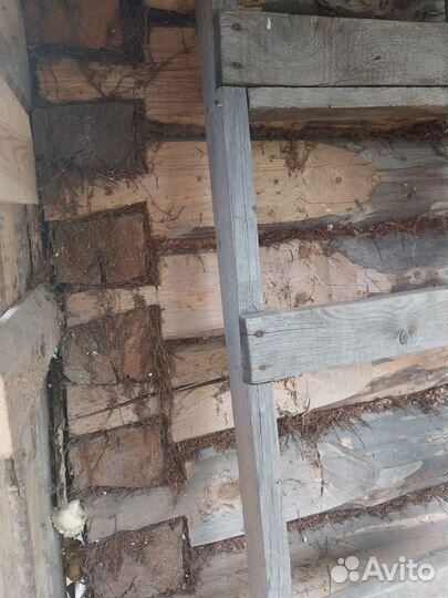 Ремонт и строительство бани