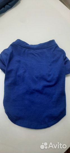 Одежда для собак