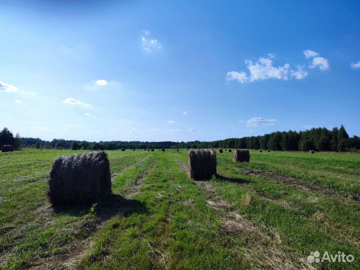 Сено в рулонах