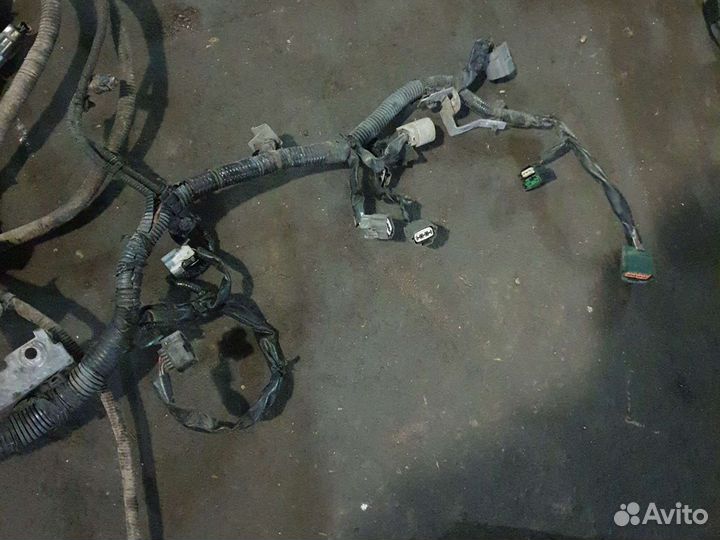 Проводка двигателя инфинити fx35 s50