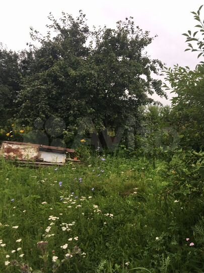 Участок 30 сот. (ИЖС)