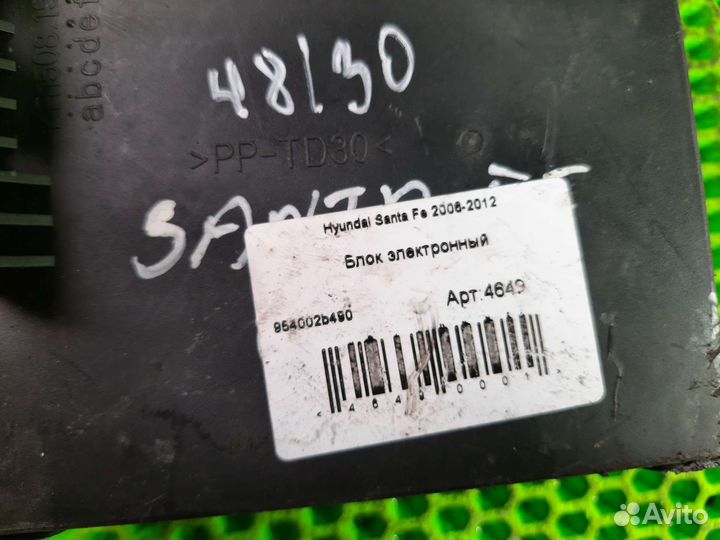 Блок электронный для Hyundai Santa Fe
