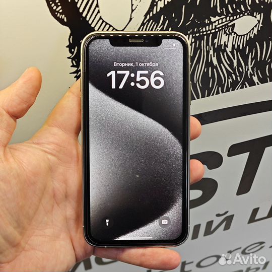 iPhone XR в корпусе 15 pro