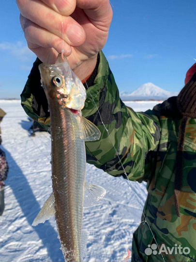 Рыбалка на Камчатке