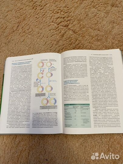 Основы биохимии Ленинджера