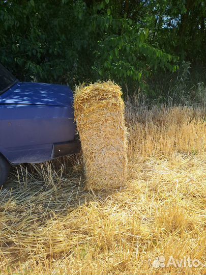 Сено Салома в тюках