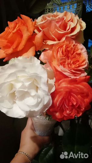 Розы цветы в букет срезка