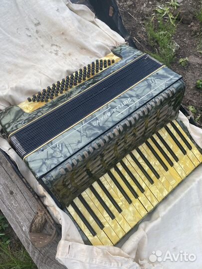Аккордеон sibylla brande
