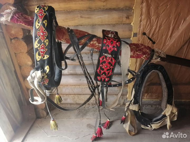 Сбруя для лошади, выездная
