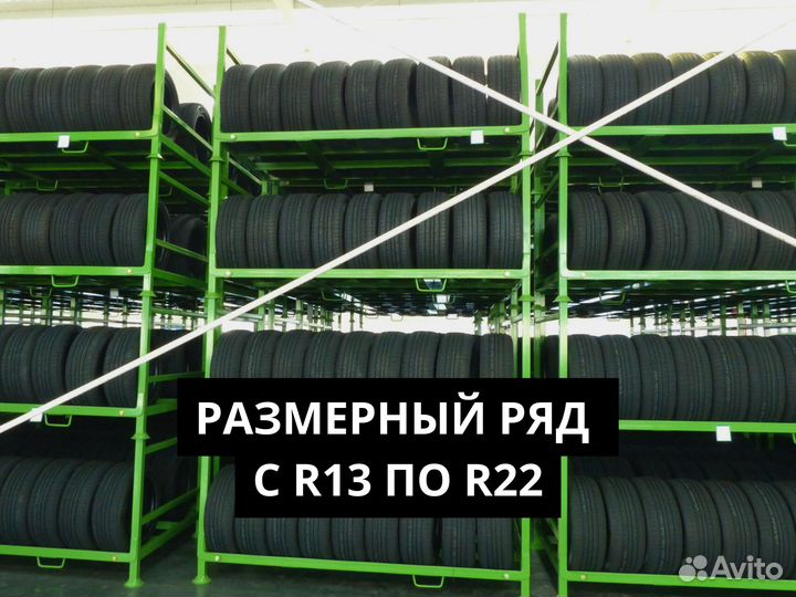 Foman Polar Bear 205/55 R16