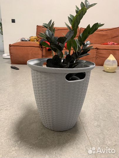 Кашпо под ротанг