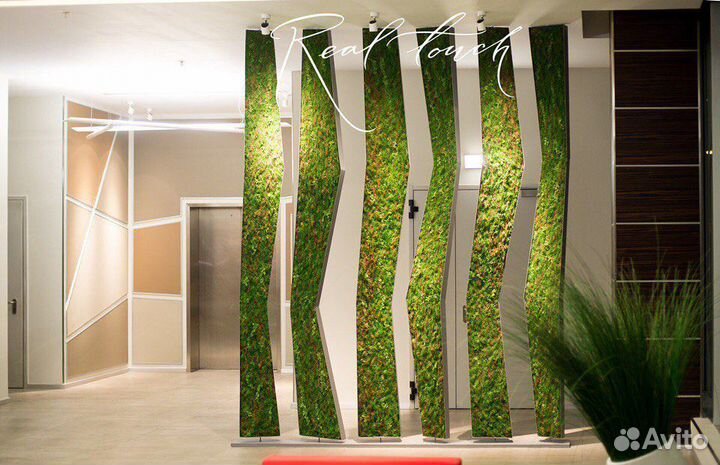 Вертикальное озеленение (