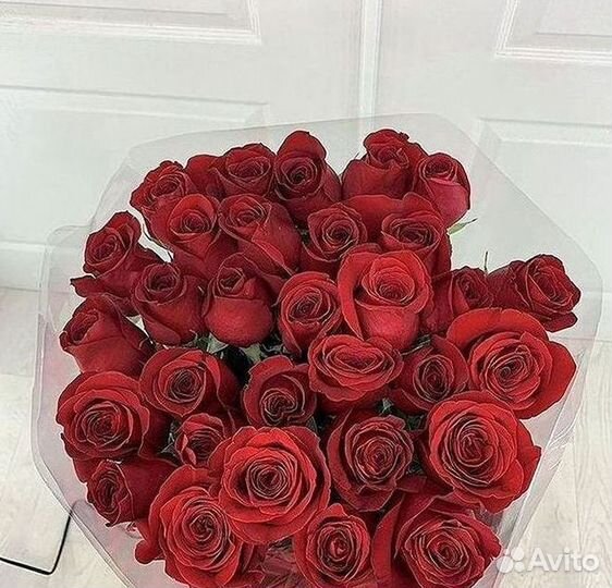 Высокие розы Гигантские розы 110