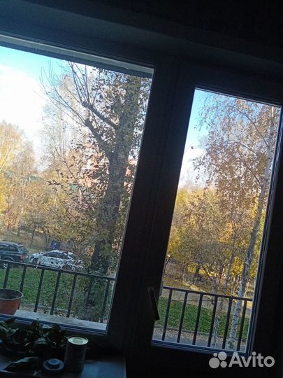 Отдам бесплатно в дар