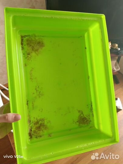 Клетка для грызунов бу