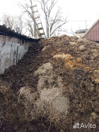 Навоз коровий