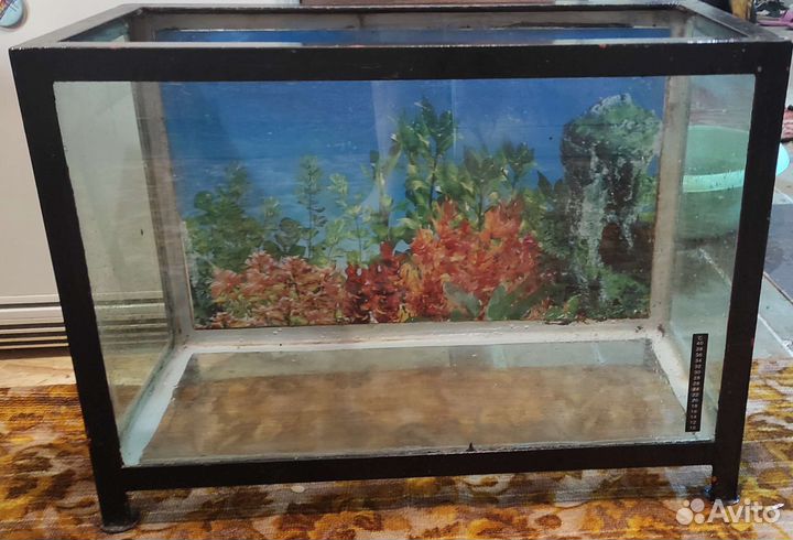 Аквариум