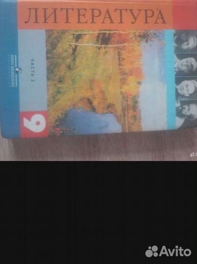 Учебник литература 9 класс