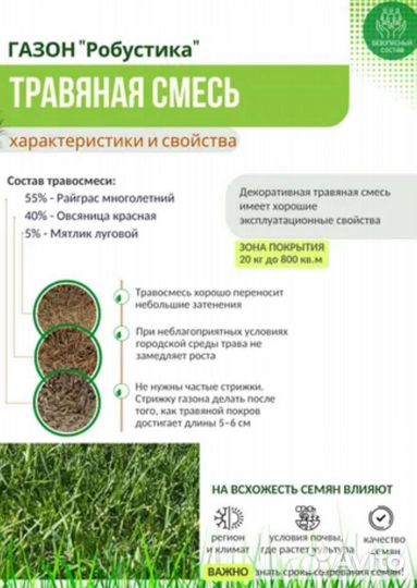 Газонная трава Рабустика