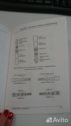 Пак Чже Ву. Стволовые системы