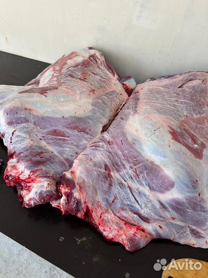 Продам мясо говядина