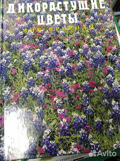 Энциклопедии для детей аванта+ и др