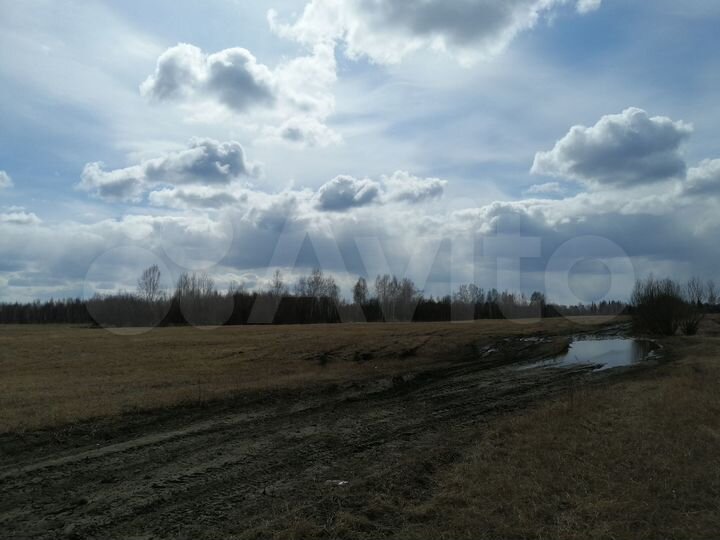 Участок 68 га (СНТ, ДНП)