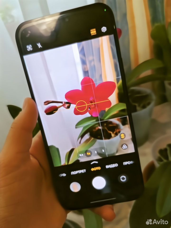 HONOR X8c, 8/256 ГБ, 2 SIM, Хабез