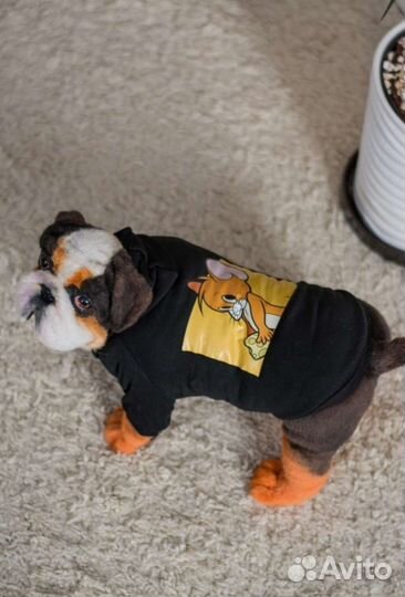 Худи для собак и кошек мелких и средних пород
