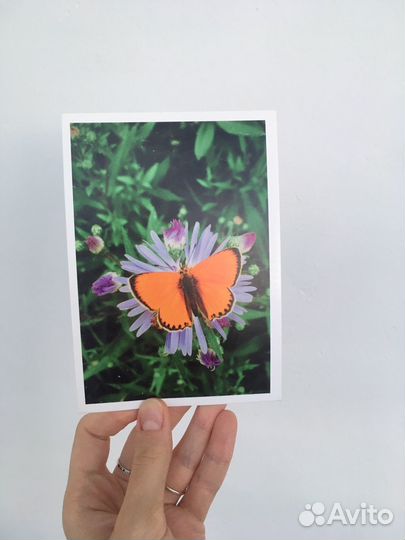 Фотооткрытки