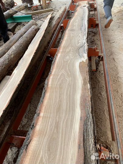 Слэб из дуба