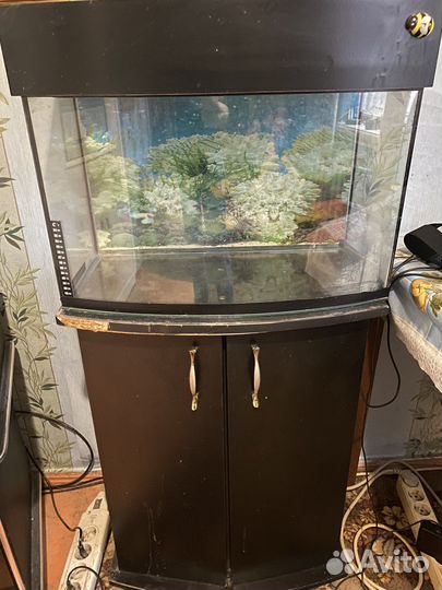 Аквариум с тумбой 60-70 литров