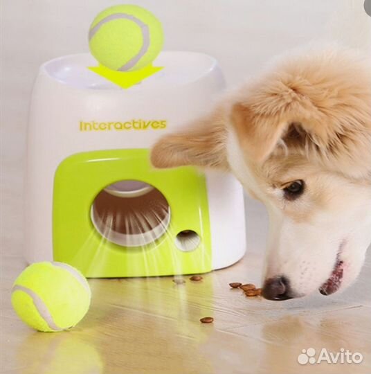 Игрушки для собак