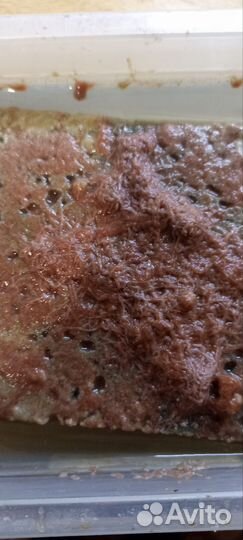 Корм для рыбок