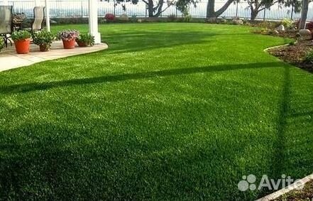 Укладка газона