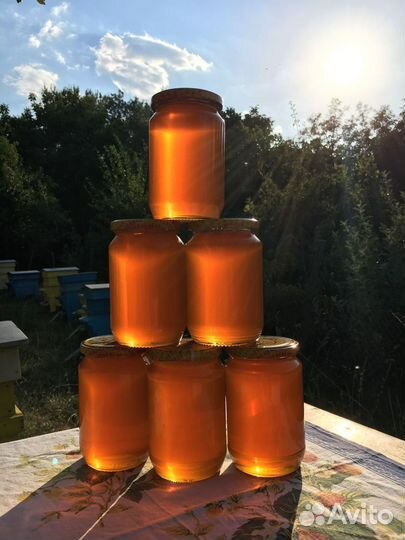 Мед натуральный майский