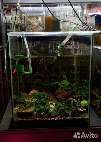 Аквариум