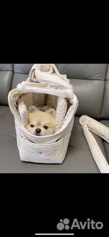 Переносная сумка для кошки и собачки