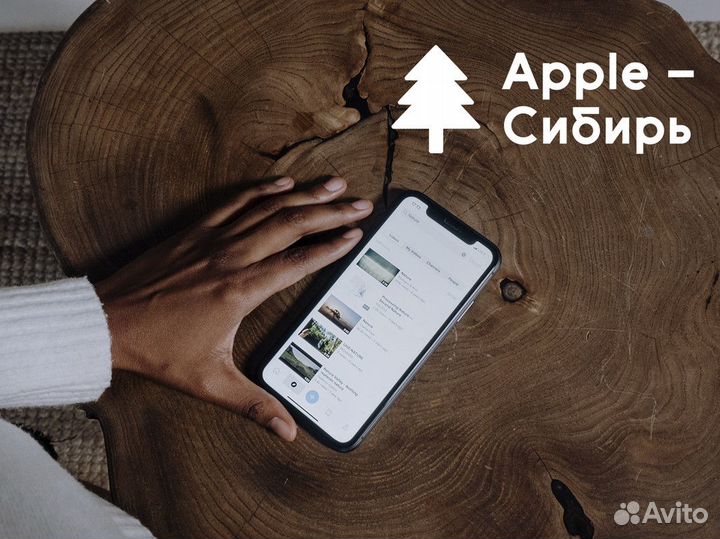 Apple - Сибирь: Яблоки и сибирская инновация