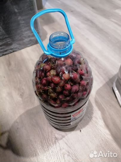 Крыжовник красный